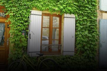 Ivy covered house