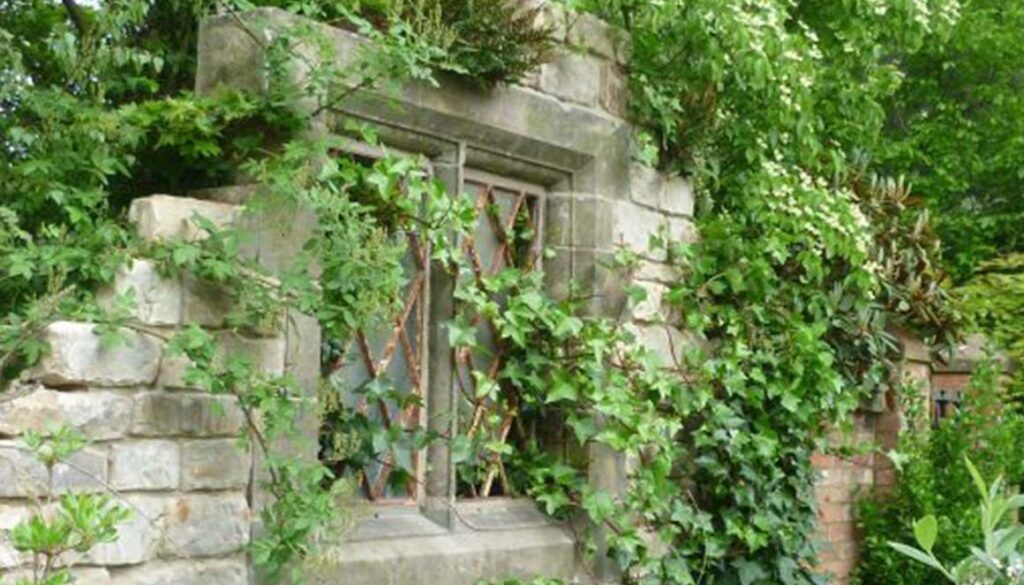 Countryside Derilict Property