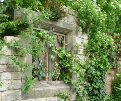 Countryside Derilict Property