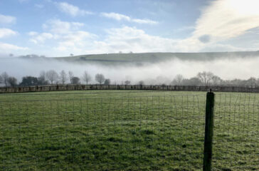 IMG_0054